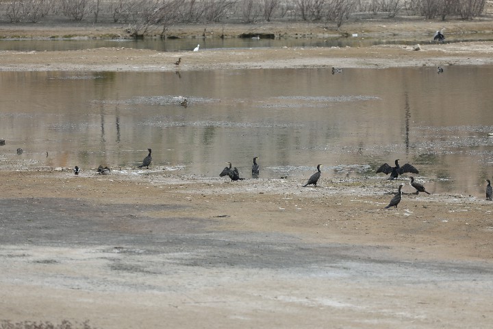 506707568_4bd76b14-3a4e-48fd-85db-a23d27f15546~1.jpg 506707568_4bd76b14-3a4e-48fd-85db-a23d27f15546~1.jpg