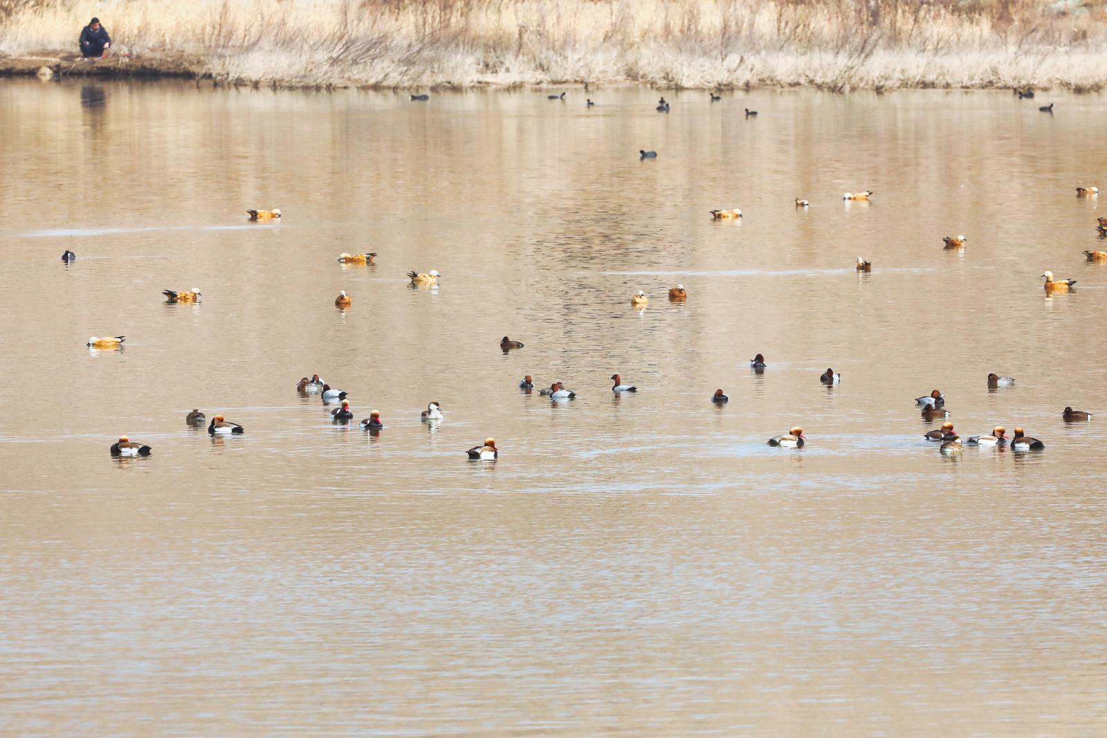 c1d5bbc5-8df9-4a4d-81d7-08a2f655e451_l.jpg c1d5bbc5-8df9-4a4d-81d7-08a2f655e451_l.jpg